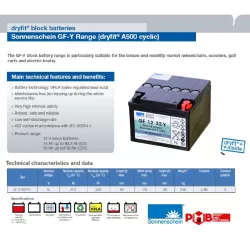 GF12022YF BATT.GEL SONNENSCHEIN 12V 22.2A C5 TRACTION