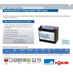 GF12044Y BATT.GEL SONNENSCHEIN 12V 44A C5 TRACTION