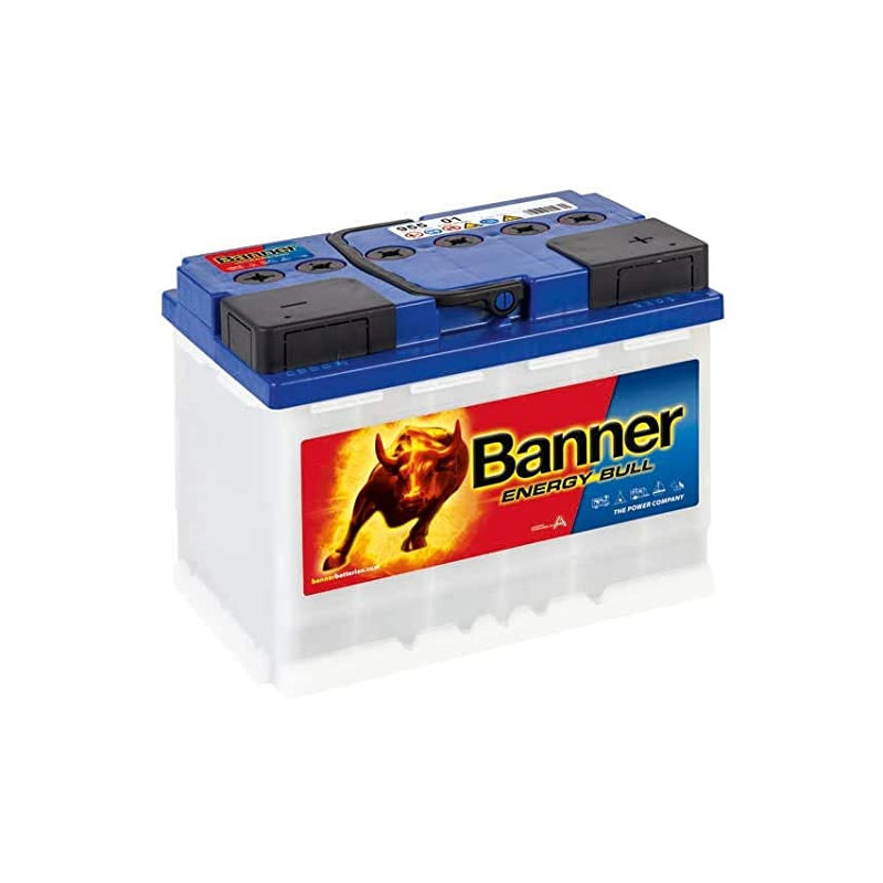 L2DPA BATT.BANNER 95501 SERVITUDE 12V 60A C/20