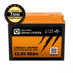 LIONTRON LiFePO4 Smart BMS (12,8 V 80 Ah)