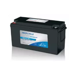 LDC12-180/EV12180  BATT 12V 174A C10 LEOCH AGM/GEL CYCLAGE CARBON  M8 T11