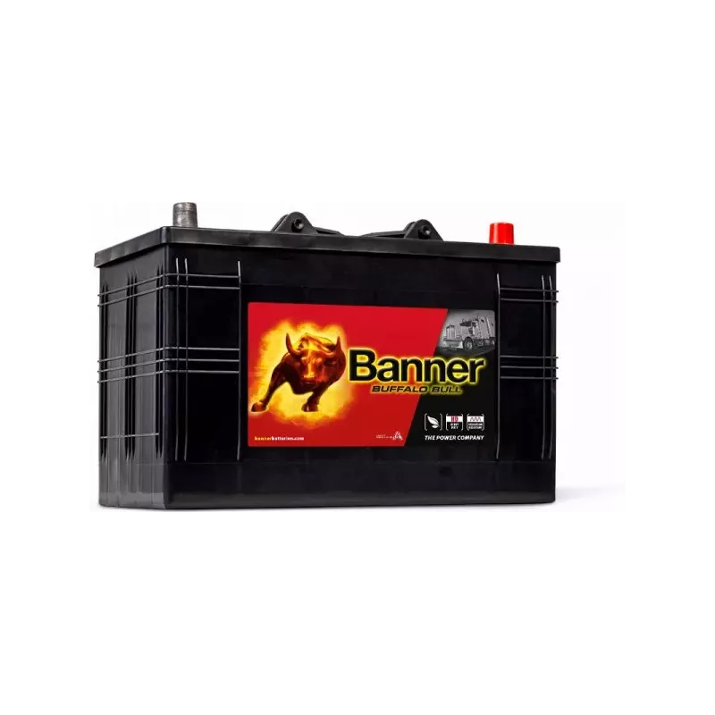 C13D 61047 12V 110AH 800A (EN)  BANNER BUFFALO BULL *36*