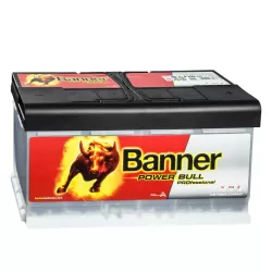 L5D P10040 12V 100A 820A  BANNER POWER BULL PRO *48*