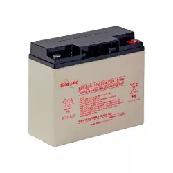 NPX80-12 BATT AGM DATASAFE 12V 20A C20 ENERSYS