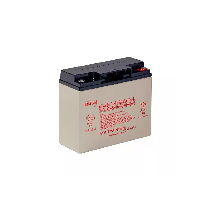 NPX80-12 BATT AGM DATASAFE 12V 20A C20 ENERSYS