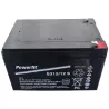 S312/12S BATT AGM POWERFIT S300 12V 12A V0