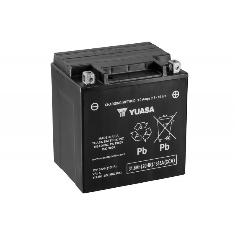 YIX30L-PW/YTX30L-BS YUASA 12V 30AH +D *1*          RENFORCEE